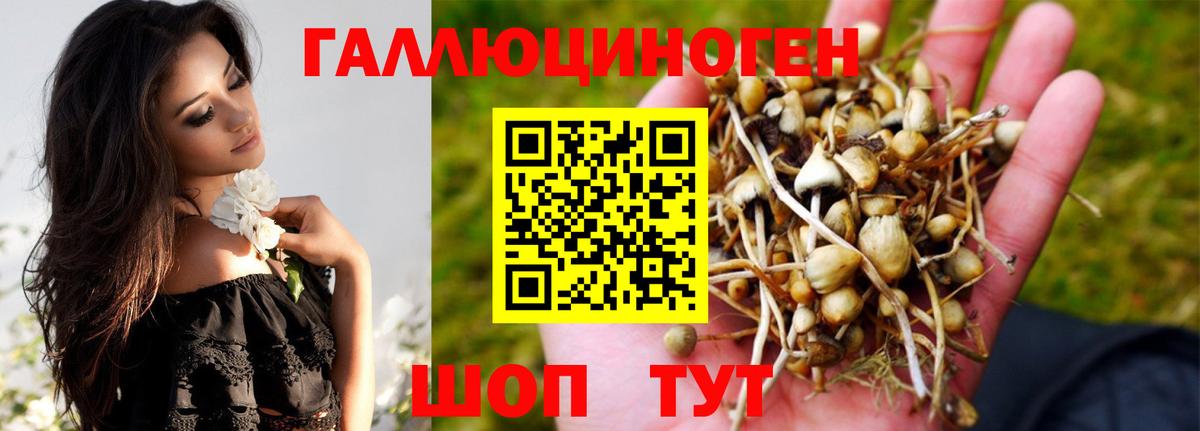 Ливны  Псилоцибиновые грибы GOLDEN TEACHER  Вход с VPN 
