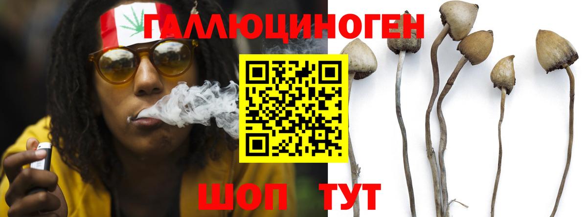 Псилоцибиновые грибы мухоморы Ливны
